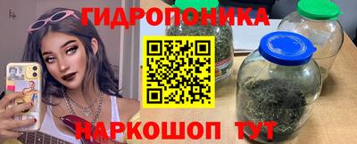 дживик Сланцы