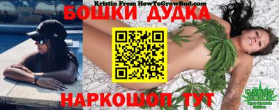соль ск Славгород