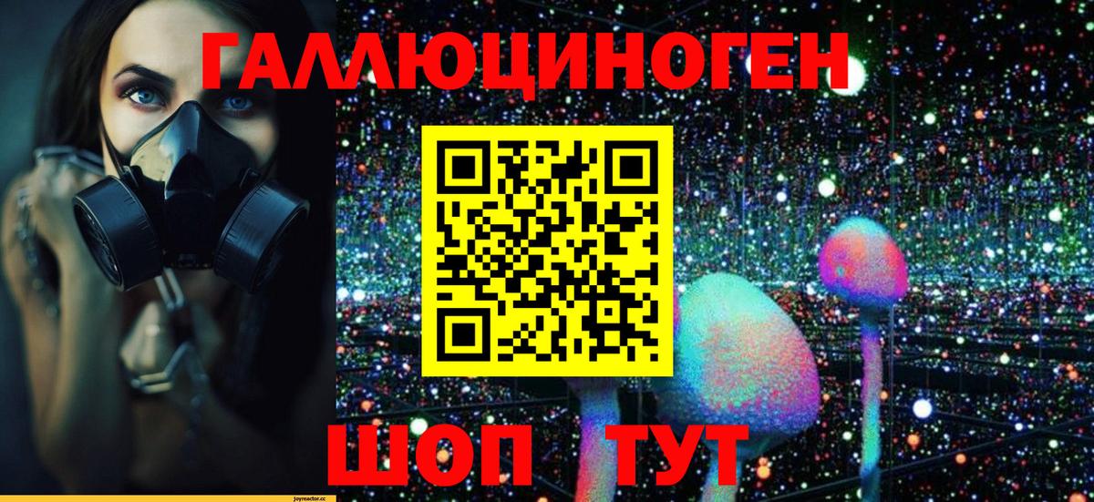 Псилоцибиновые грибы Magic Shrooms  Вход с VPN  как найти наркотики  Северобайкальск 